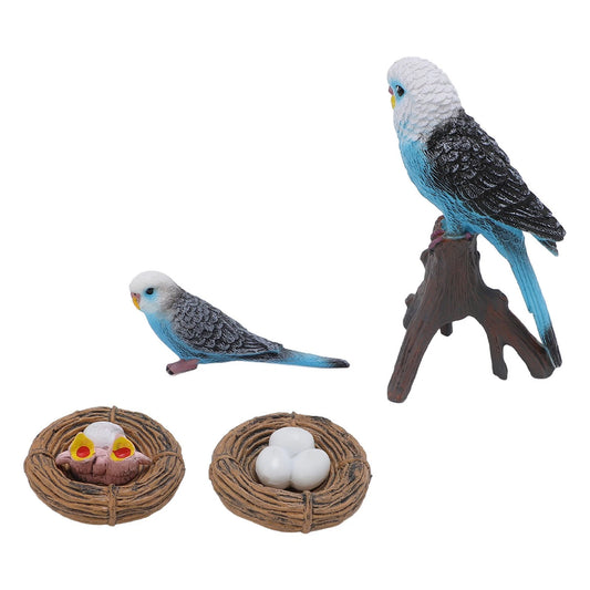 Life Cycle of a Budgerigar - Set of Figurines