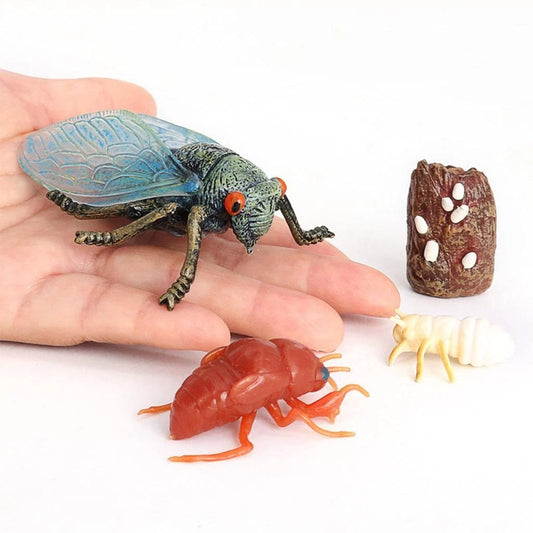 Life Cycle of a Cicada - Set of Figurines
