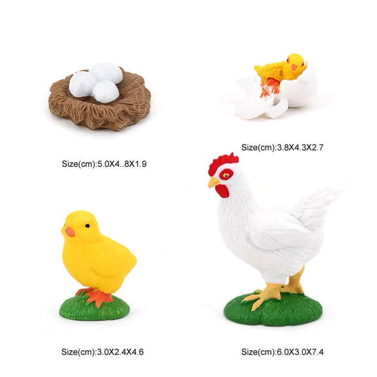 Life Cycle of a Rooster - Set of Figurines
