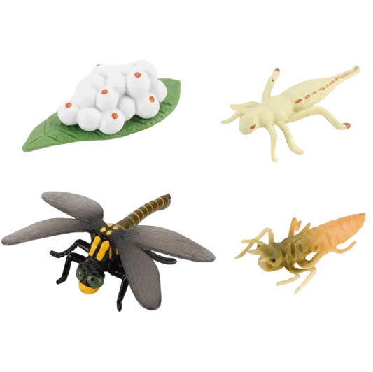Life Cycle of a Dragonfly - Set of Figurines