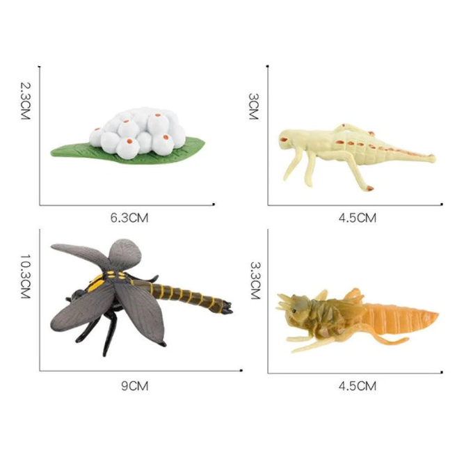 Life Cycle of a Dragonfly - Set of Figurines