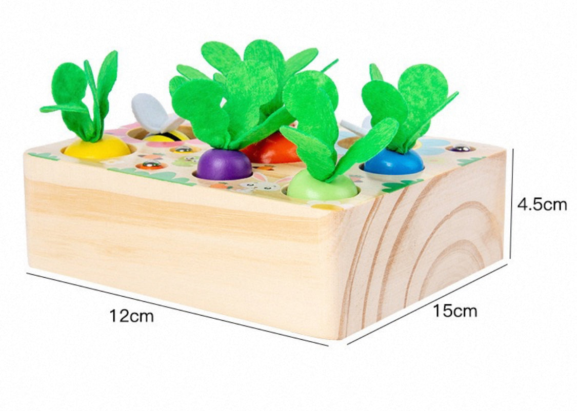 Busy Farm Multi-Activity Set