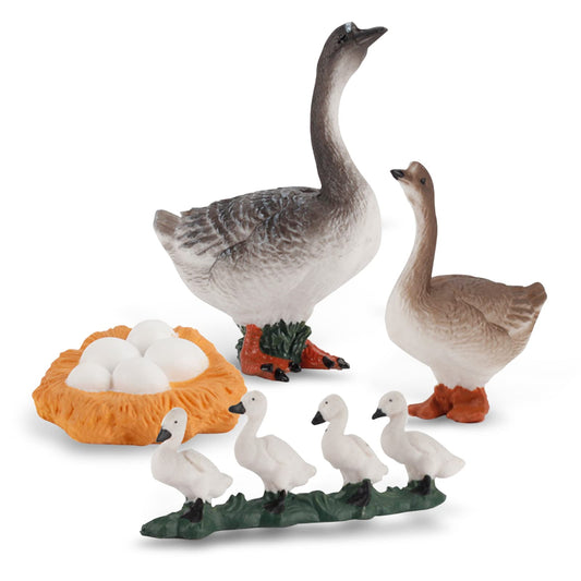 Life Cycle of a Grey Goose - Set of Figurines