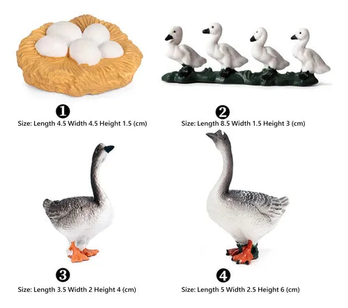 Life Cycle of a Grey Goose - Set of Figurines