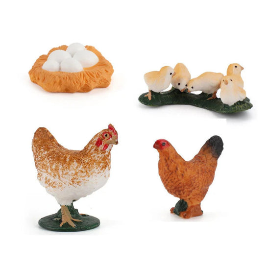 Life Cycle of a Hen - Set of Figurines