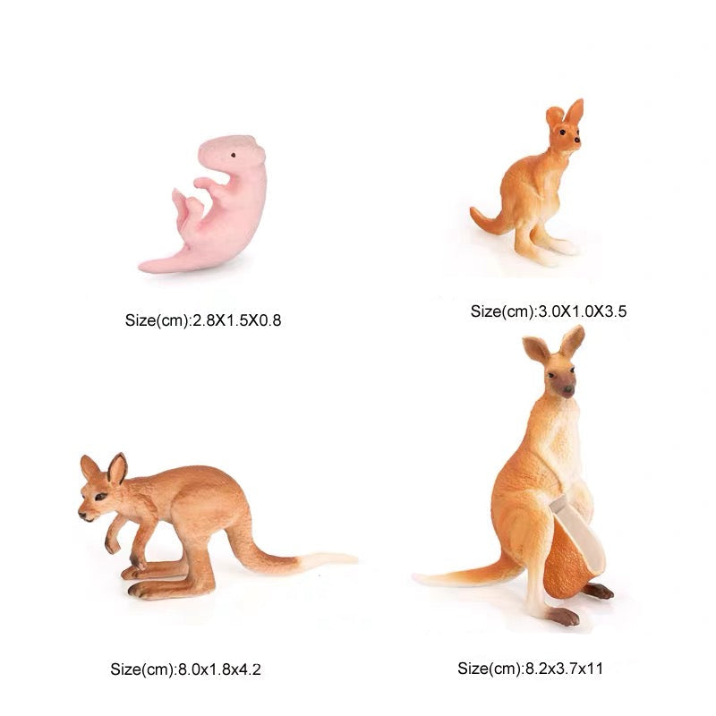 Life Cycle of a Kangaroo - Set of Figurines