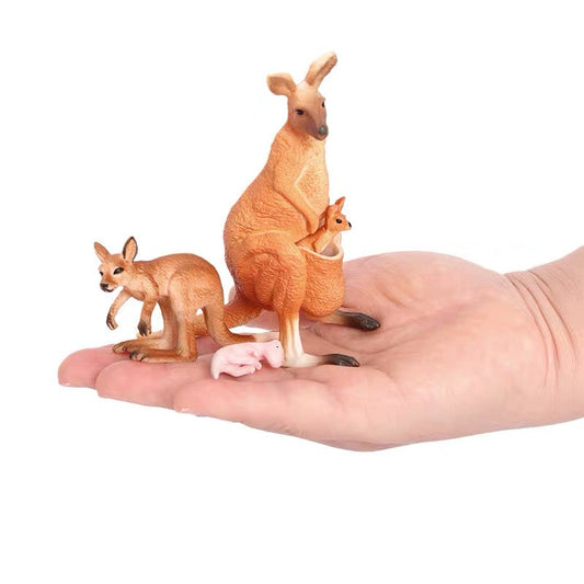 Life Cycle of a Kangaroo - Set of Figurines