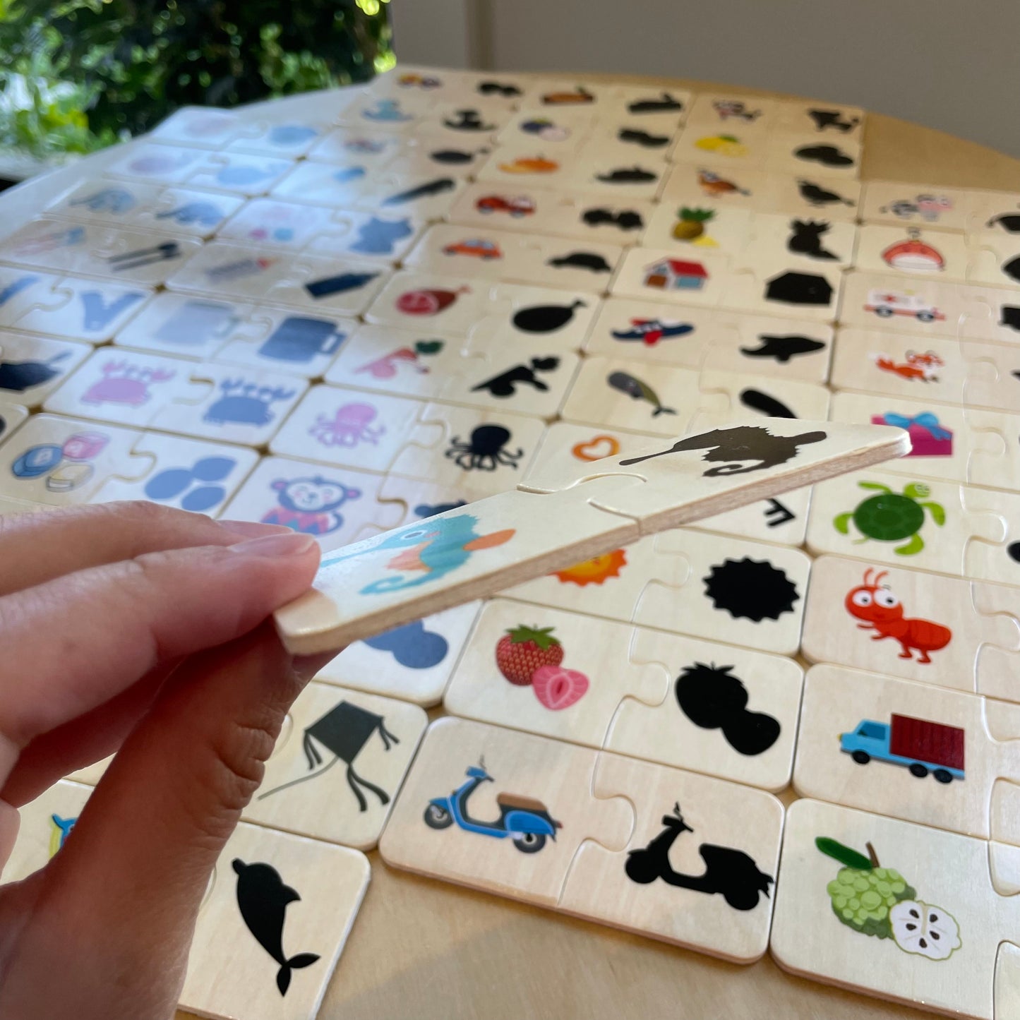 Shadow Matching Game