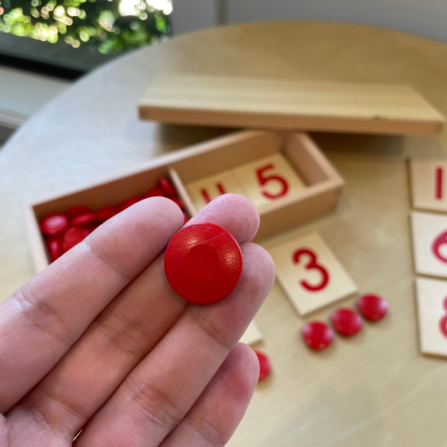 Montessori Wooden Number Cards and Counters