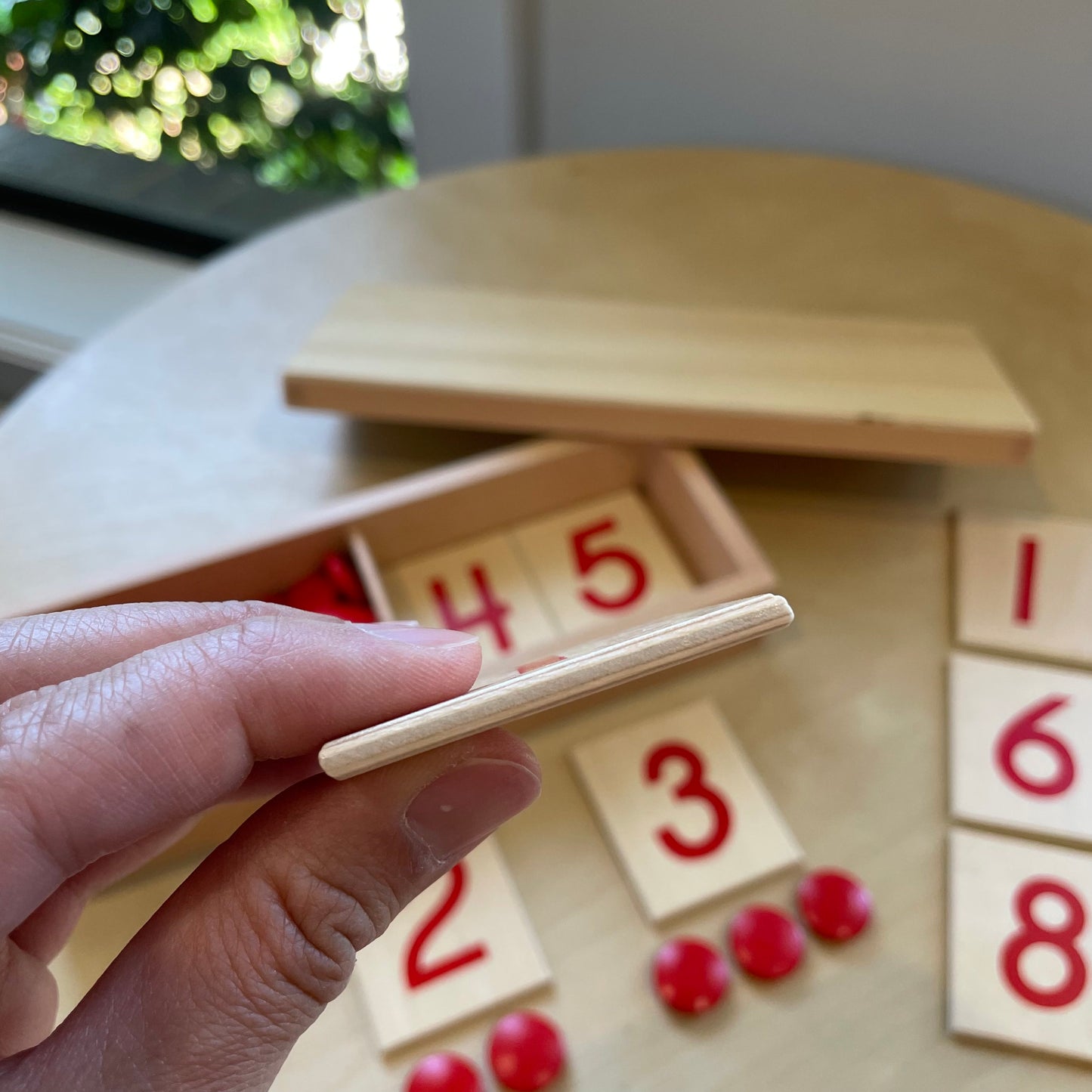 Montessori Wooden Number Cards and Counters