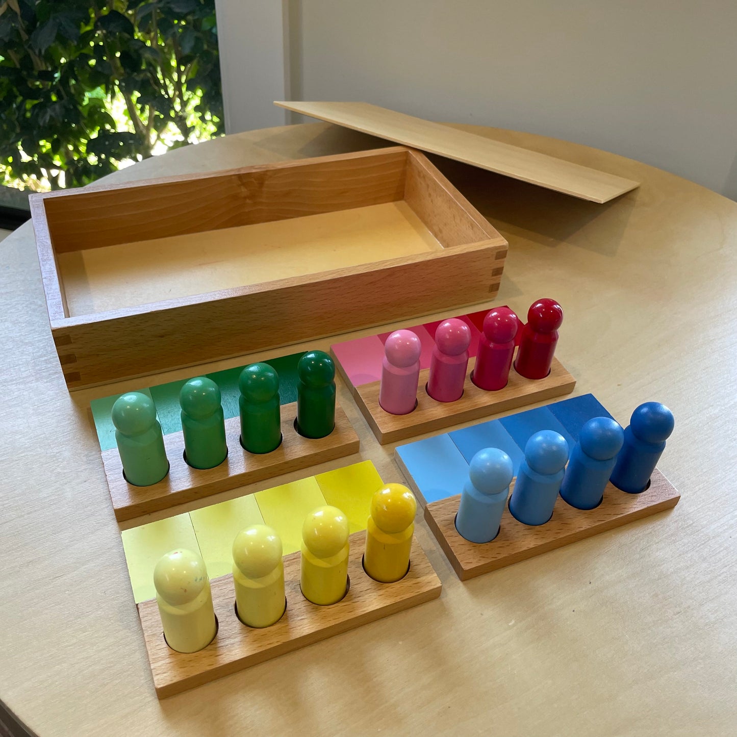 Montessori Colour Resemblance Sorting Task