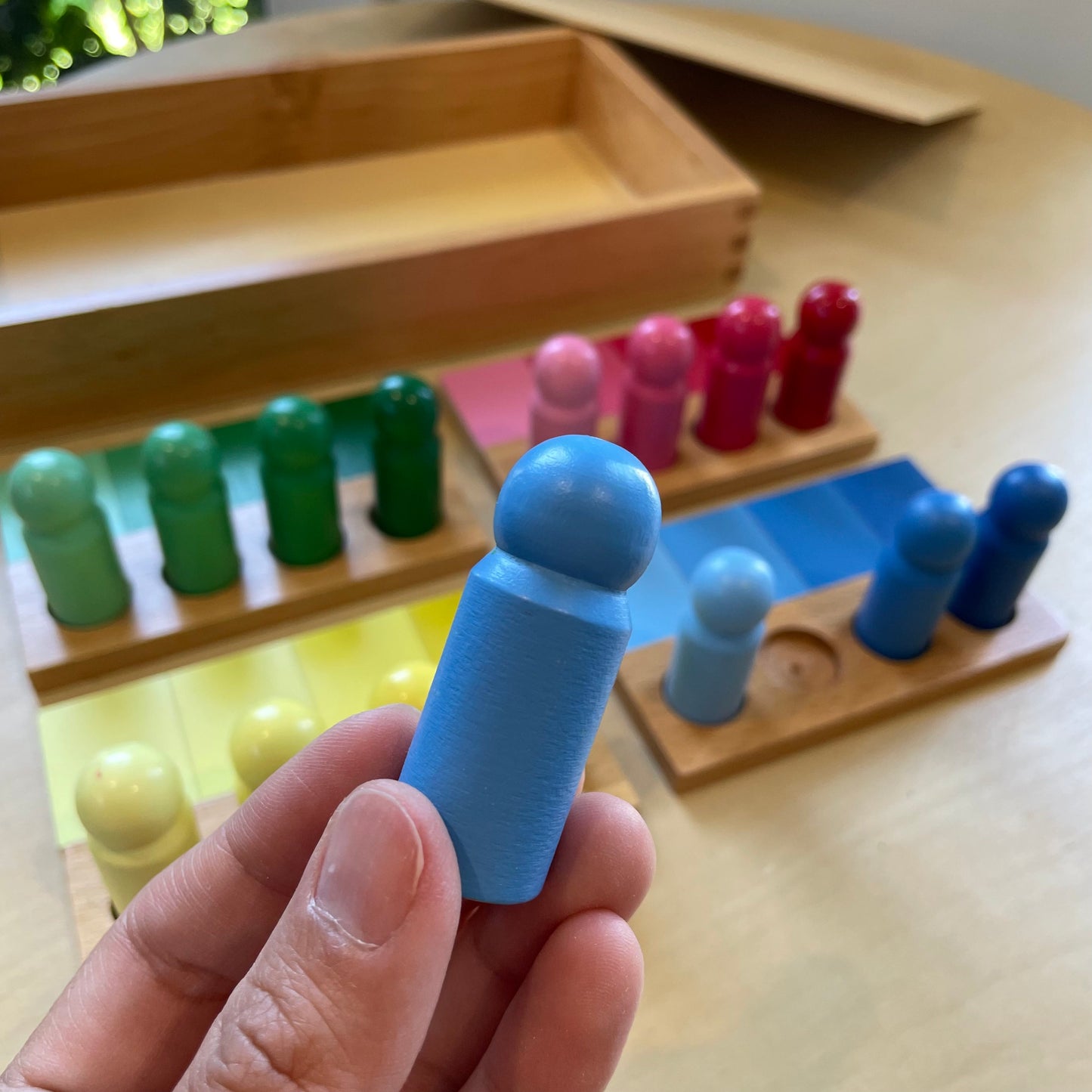 Montessori Colour Resemblance Sorting Task