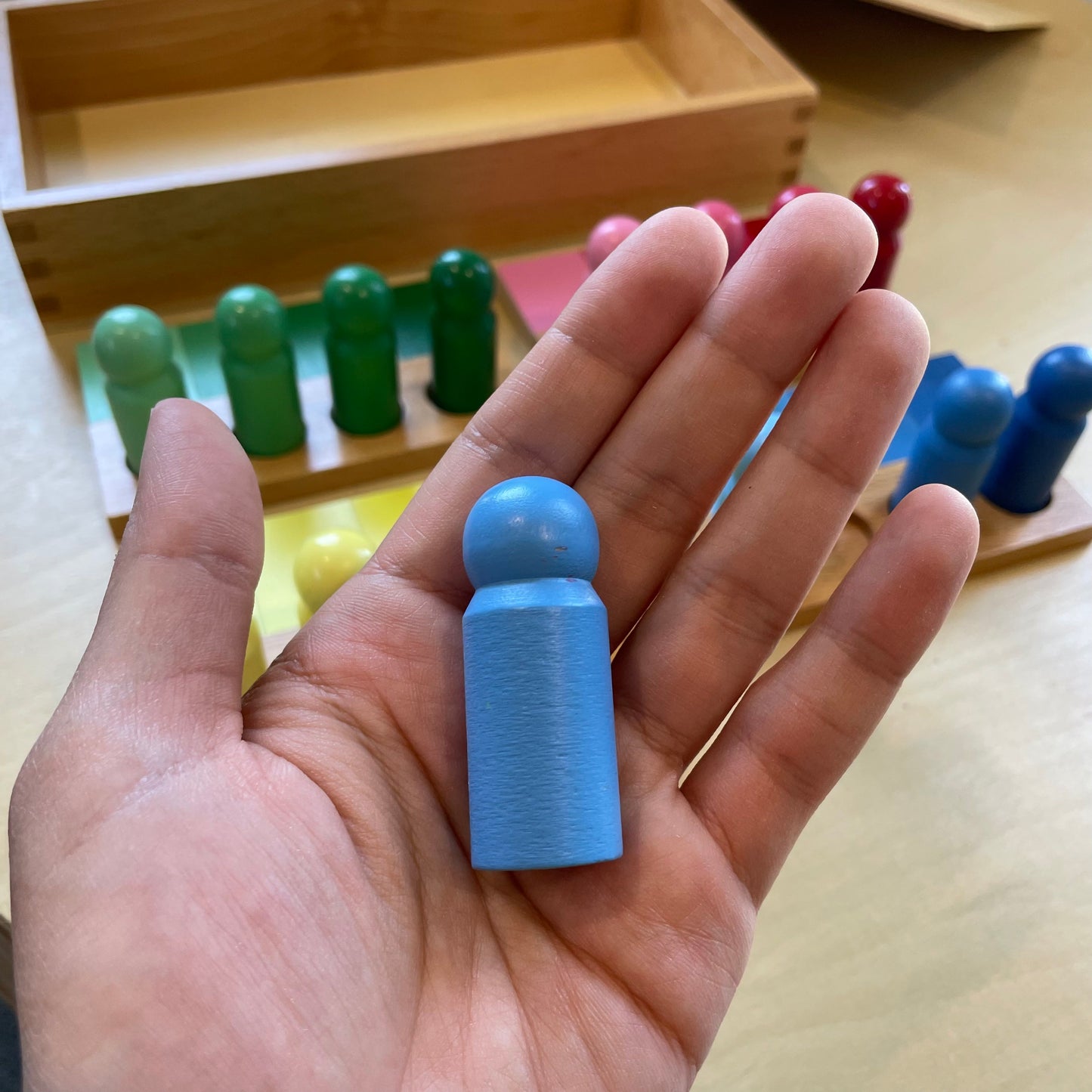 Montessori Colour Resemblance Sorting Task