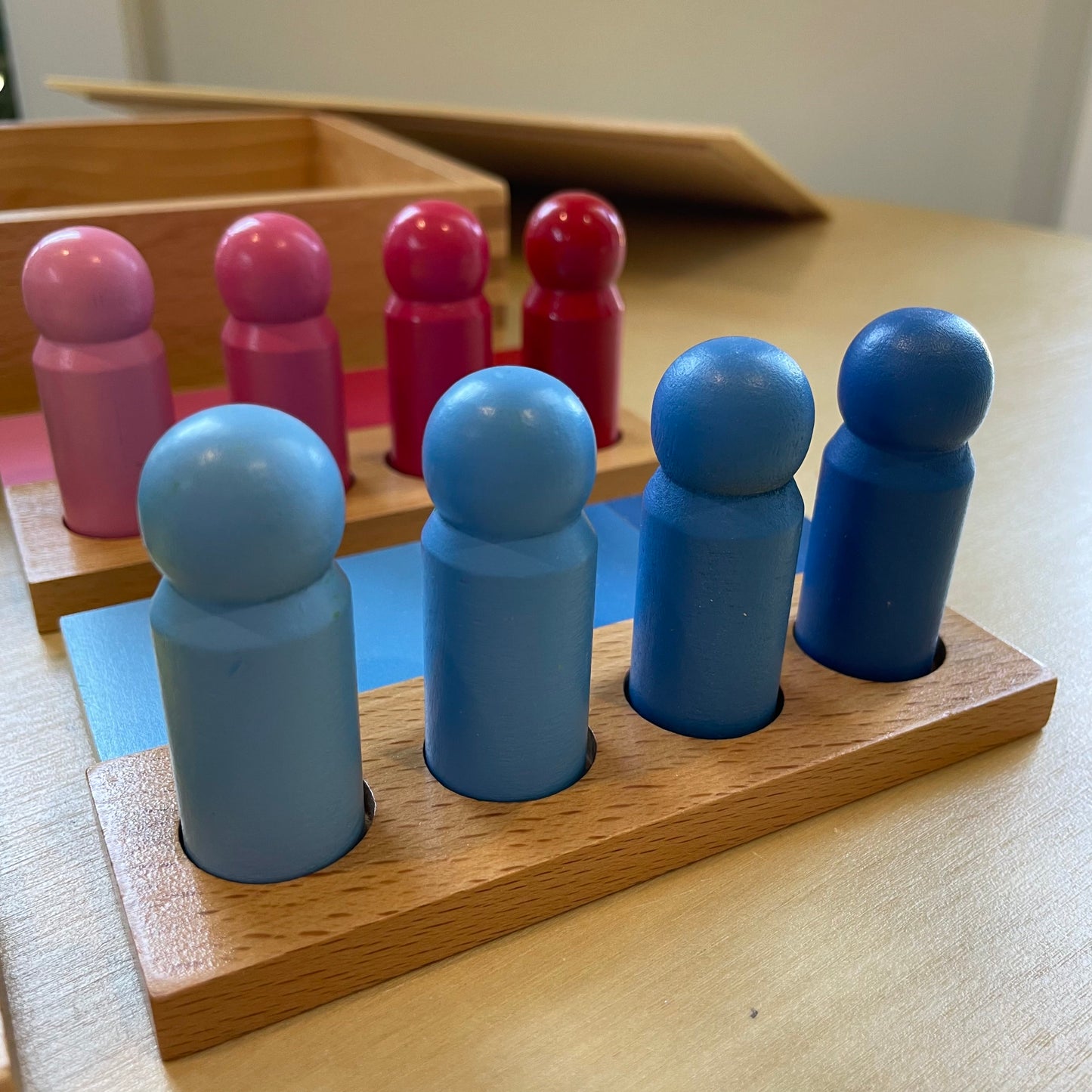 Montessori Colour Resemblance Sorting Task