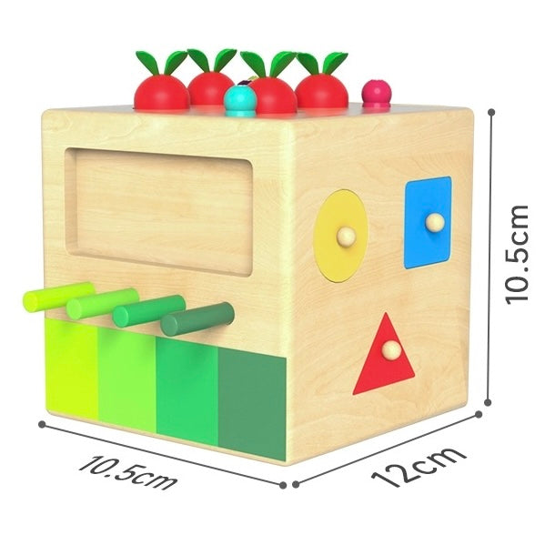 8 in 1 Multipurpose Activity Box