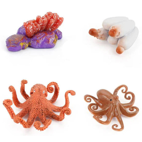 Life Cycle of an Octopus - Set of Figurines