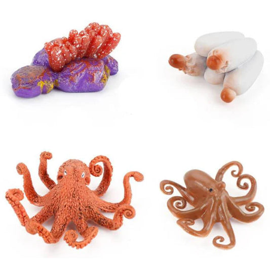 Life Cycle of an Octopus - Set of Figurines