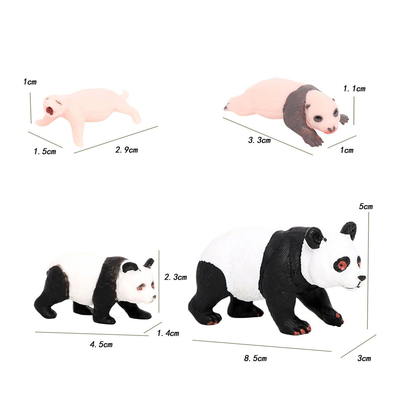 Life Cycle of a Panda - Set of Figurines