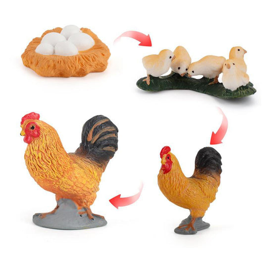 Life Cycle of a Rooster - Set of Figurines