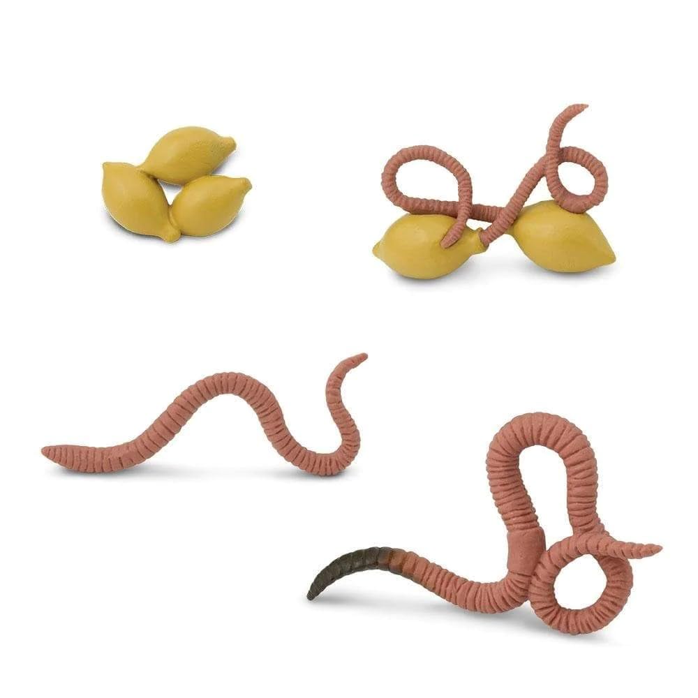 Life Cycle of a Worm - Set of Figurines