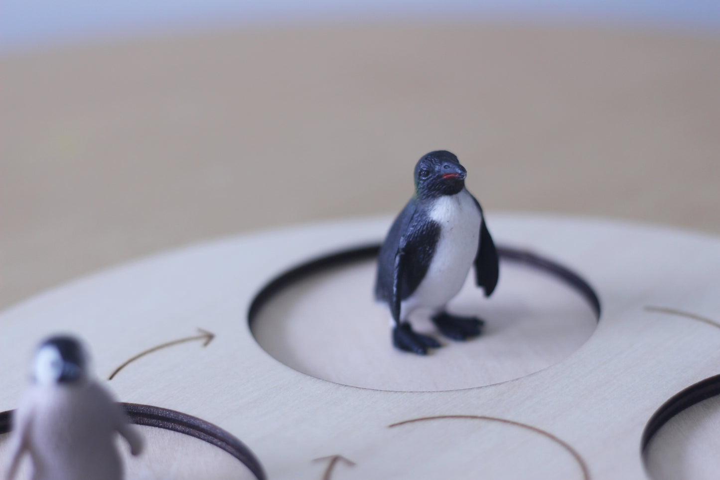 Life Cycle of a Penguin - Set of Figurines