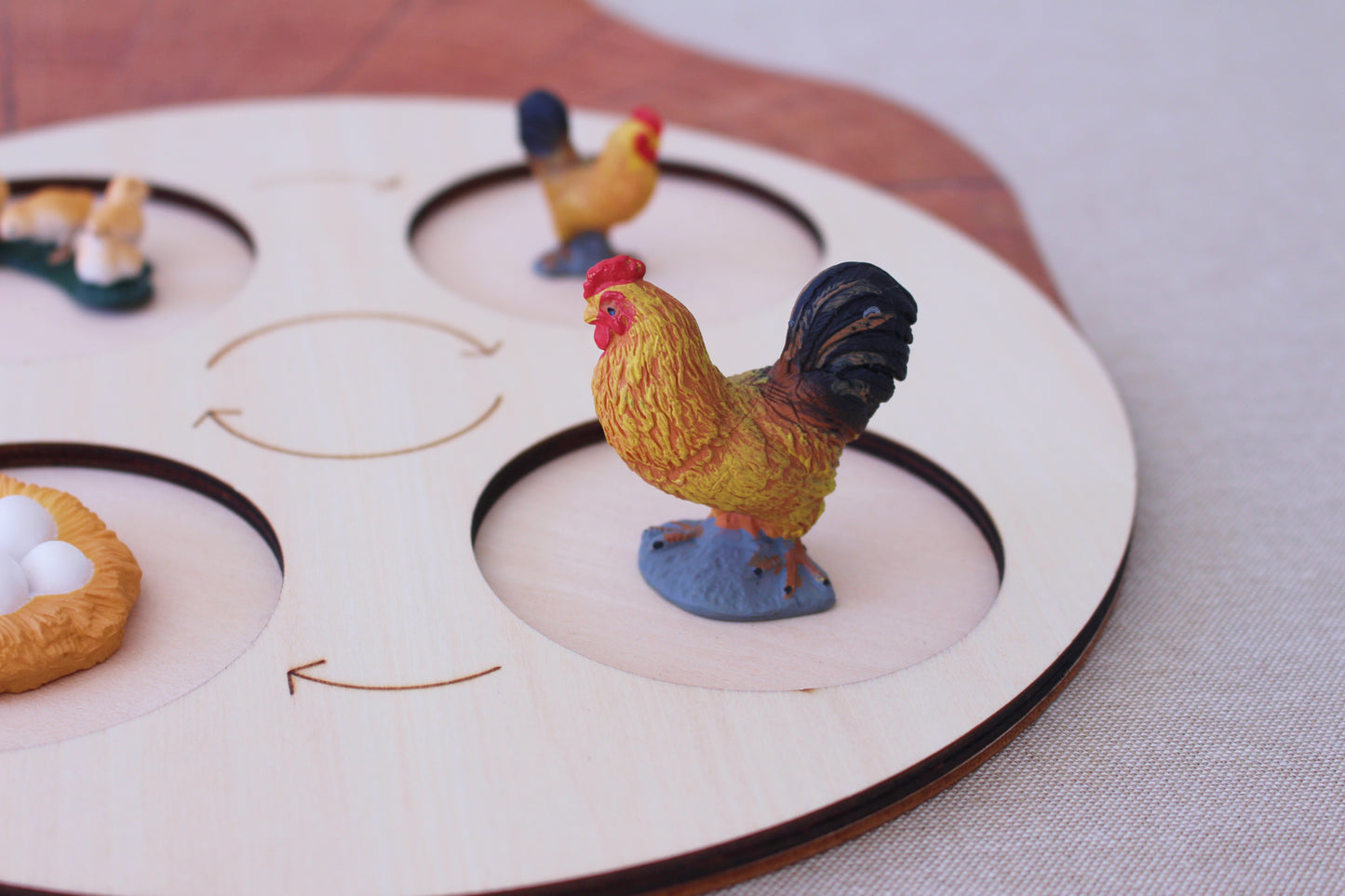 Life Cycle of a Rooster - Set of Figurines