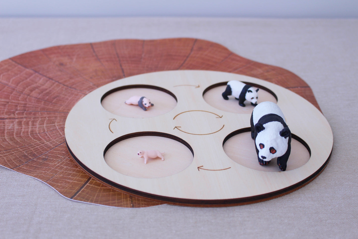 Life Cycle of a Panda - Set of Figurines