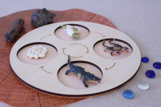Life Cycle of a Crocodile - Set of Figurines
