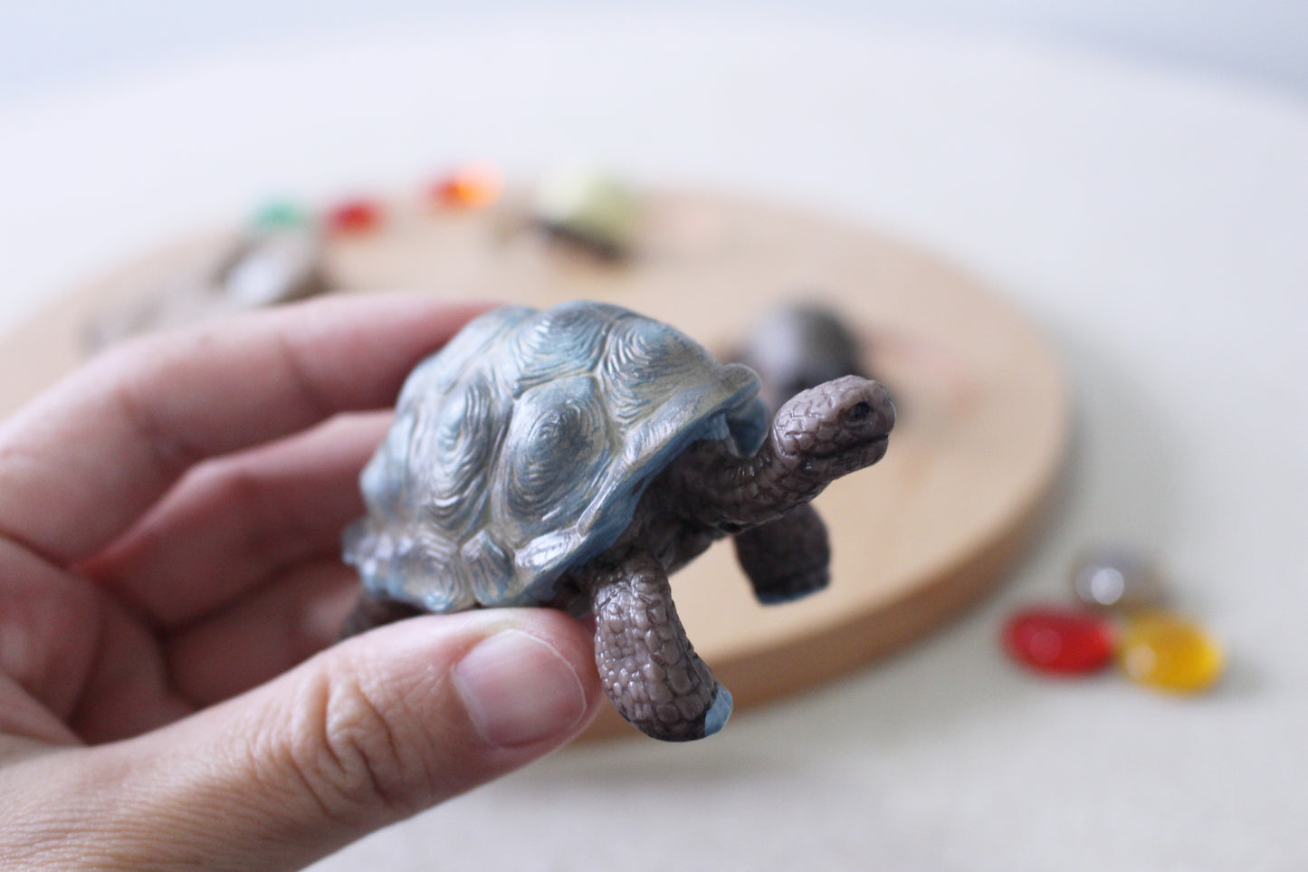 Life Cycle of a Tortoise - Set of Figurines